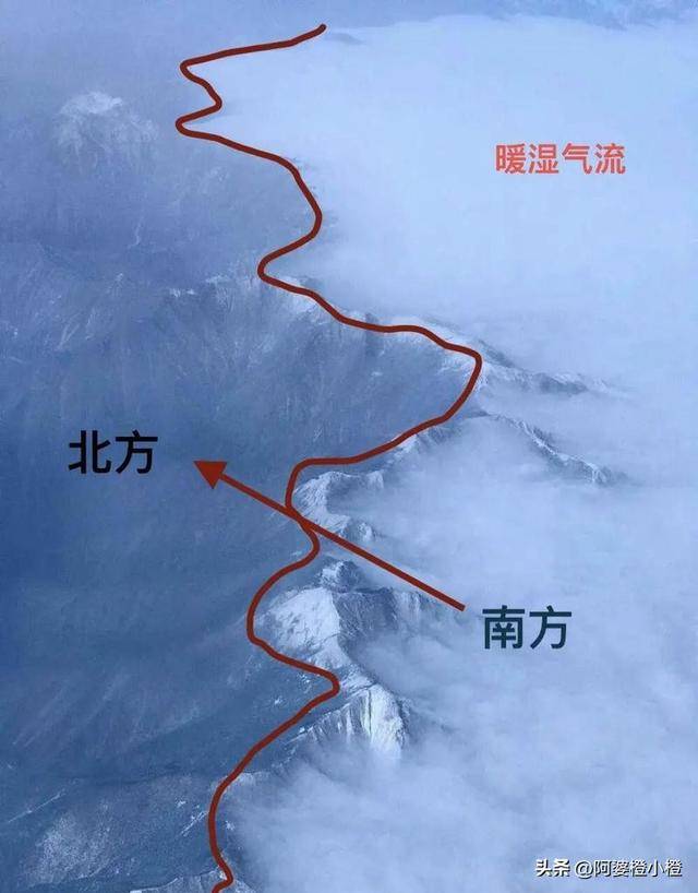 崖和之前网友猜测的几乎一样开元棋牌app小鳌太线坠(图2)