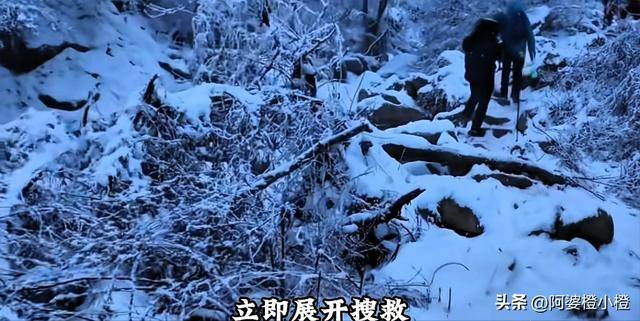 崖和之前网友猜测的几乎一样开元棋牌app小鳌太线坠(图4)