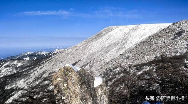 崖和之前网友猜测的几乎一样开元棋牌app小鳌太线坠(图8)