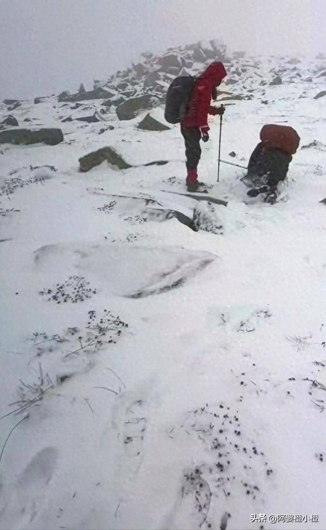 崖和之前网友猜测的几乎一样开元棋牌app小鳌太线坠(图11)