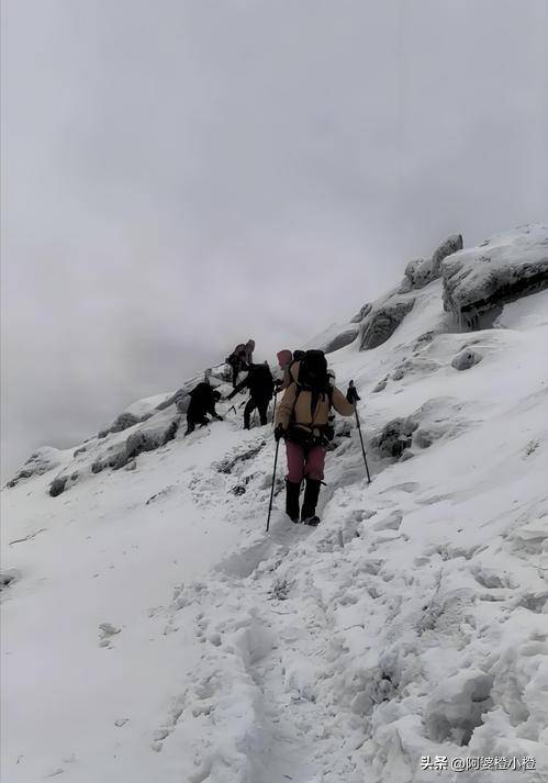 崖和之前网友猜测的几乎一样开元棋牌app小鳌太线坠(图13)