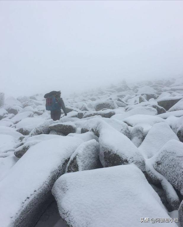 崖和之前网友猜测的几乎一样开元棋牌app小鳌太线坠(图15)